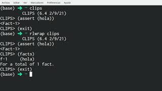 Uso de rlwrap con clips