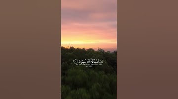 وَفِي الأرْضِ آيَاتٌ لِلْمُوقِنِينَ (٢٠) وَفِي أَنْفُسِكُمْ أَفَلا تُبْصِرُونَ (٢١) ♥️ القران الكريم