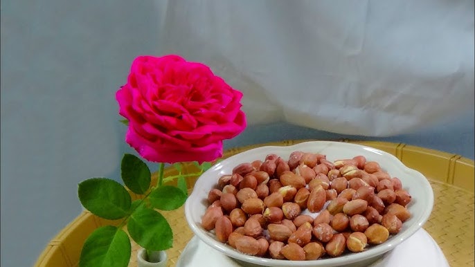 Rang Đậu Đỏ Bao Nhiêu Phút? Hướng Dẫn Chi Tiết và Lợi Ích Sức Khỏe
