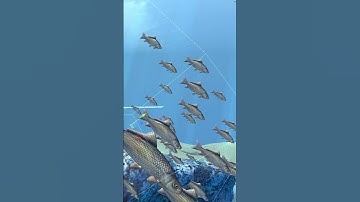 How to have fun with Unity’s particle system #blender3d #unity3d #gamedev