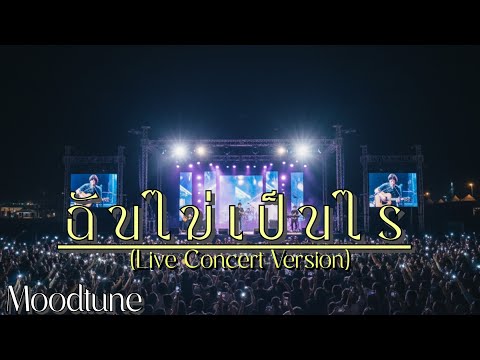 ฉันไม่เป็นไร (Live Concert Version) | Moodtune – เพลงเศร้าคอนเสิร์ตที่คนทั้งฮอลล์ร้องตาม
