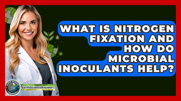 What Is Nitrogen Fixation And How Do Microbial Inoculants Help? - Earth Science Answers