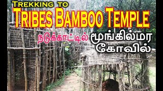 TREKKING TO TRIBES BAMBOO TEMPLE  | JUNIORS TREKKING | TREKKING DIML VLOG  TRIBESTEMPLE TRIBES