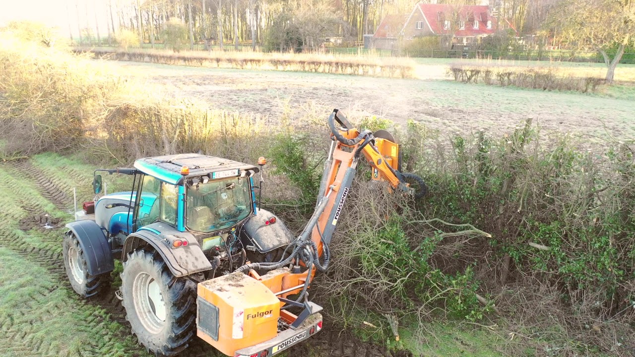 Élagage au Lamier TEAV