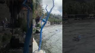 Karina Sahil Icennet Karina Gizli Ev Gizli Plaj Yeri Şadası