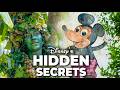 Top 10 Hidden Secrets at Disney&#39;s Animal Kingdom