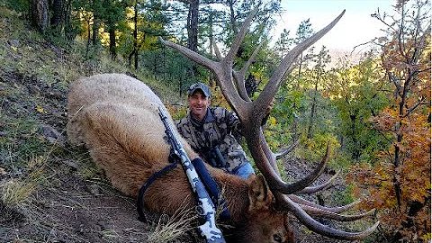 2019 Late Season New Mexico - Muzzleloader Elk Hunting | 350 Inch Bull
