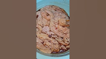 Lòng Khìa Nước Dừa Hay Phá Lấu Đây Cả Nhà ?? #shortvideo #short #food #likeandsubscribe #phalau