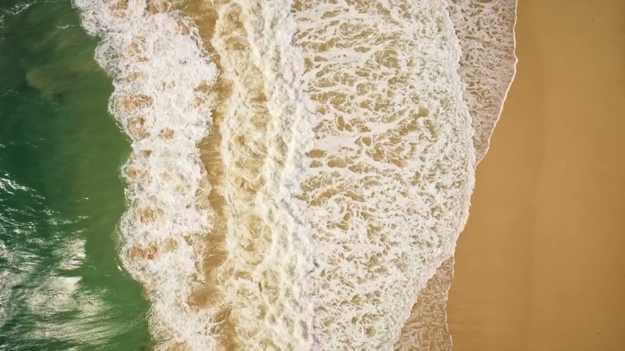 1 HR of Ultimate Nature Sounds & Music