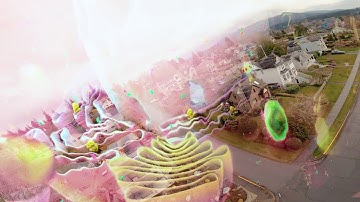 Augmented Reality FPV Virus Dodgin