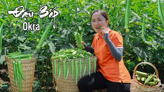 Harvesting Okra garden, Wax apple, Salak ... goes to the market sell | Emma Daily Life