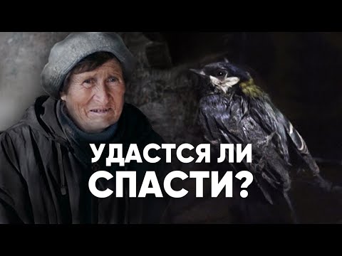 Бейне: Әлеуметтік ауыртпалықсыз дрондар