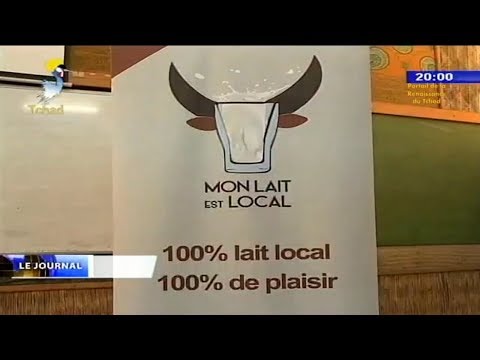 ÉLEVAGE -  CÉLÉBRATION DE LA JOURNÉE MONDIALE DU LAIT