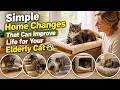 Simple Home Changes That Can Improve Life for Your Elderly Cat