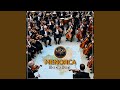 Menorca, Illa de llum