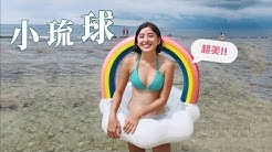 金魚腦goldfish Brain Youtube