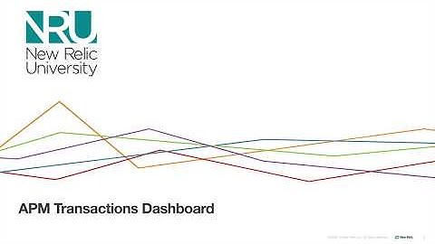 APM Transaction Dashboard Demo and Tutorial