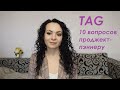 TAG// Вопросы Проджект Пэннеру | Project Panner's Tag