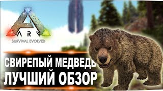 Свирепый медведь (Direbear) в АРК. Лучший обзор: приручение, разведение и способности медведей в ark