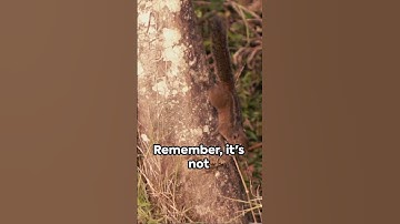 Unleash Your Potential