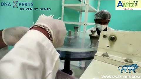 Nylon Flocked Swab Making & Packaging at DNA Xperts for Corona Sample Collection