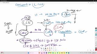 CCNP & CCIE Certifications Explained - Complete Guide 2026