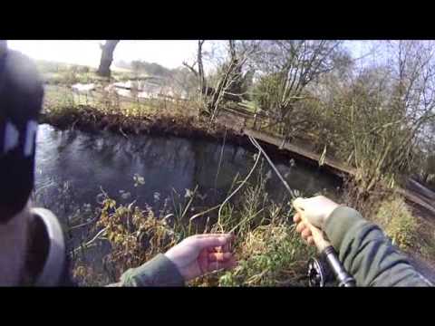 Trout Fishing at Avington Hampshire