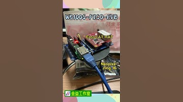💁‍♂️ W5100S-EVB-Pico
