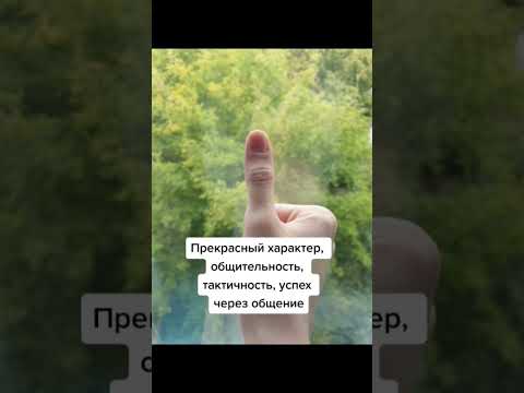 Ты дипломат или