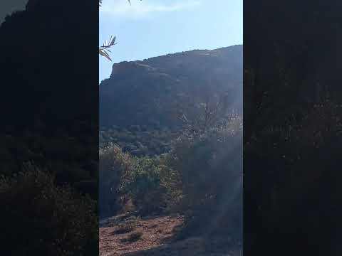 ليلة القدر الصغرى اكتشف أسرار ليلة النصف من شعبان والأعمال المستحبة التي تغير حياتك