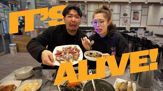 Trying Bizarre Food in Korea! | Aiken Chia