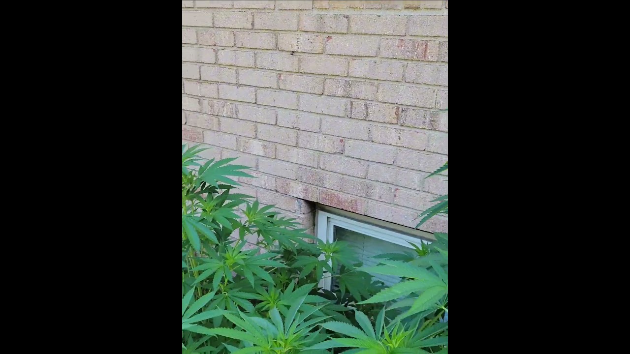 Eat ur Heart out UNCLE and PKR 😂✌️ 