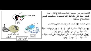 مراجعة 2