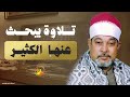 الشيخ السيد سعيد سورة المائدة تلاوة أسطورية أبهرت الحاضرين 