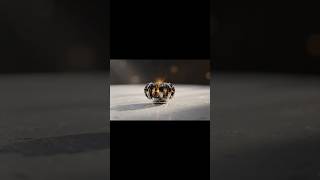 From Core to Car #LuxuryCar #MechanicalTransformation #SatisfyingVideo #Engineering #glowup #viral