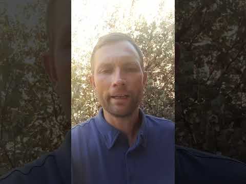How Do We Know a Genuine Christian from a Fake?