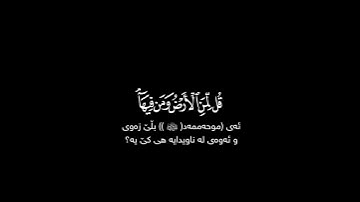 كرومات شاشة سوداء قرآن كريم القارئ ياسر الدوسري 🌿سورة المؤمنون الآية 48 - 49🌿