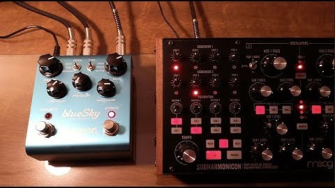 [Moog SUBHARMONICON + Strymon blueSky] - No Talking