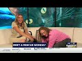 Meet a Rescue Monday: Jitterbug and Bachata