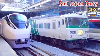 185 Series & E657 Series passing each other many times at Shinagawa Station, Tokyo | Train Japan