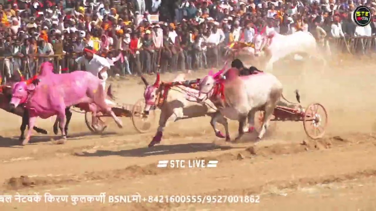 गट क्रमांक - 110 ( हिंदकेसरी पुसेगाव मैदान 2025 )