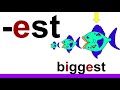 Video Tutorial Quiz