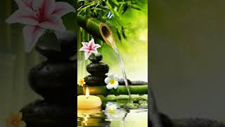 Relaxing Zen Music,Stress Relief Music, Sleep Music Bamboo Fountain, #shorts #short