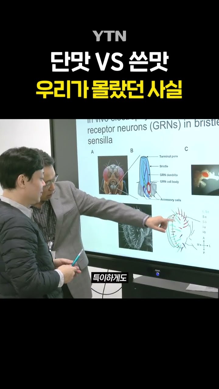 초파리 : 이게 되네 #shorts / YTN
