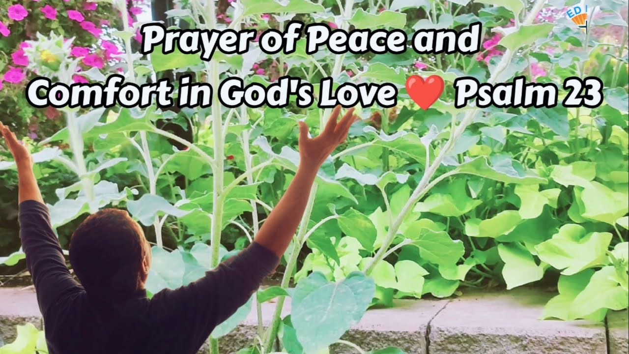 Prayer of Peace and Comfort in God's Love ️ Psalm 23 - YouTube