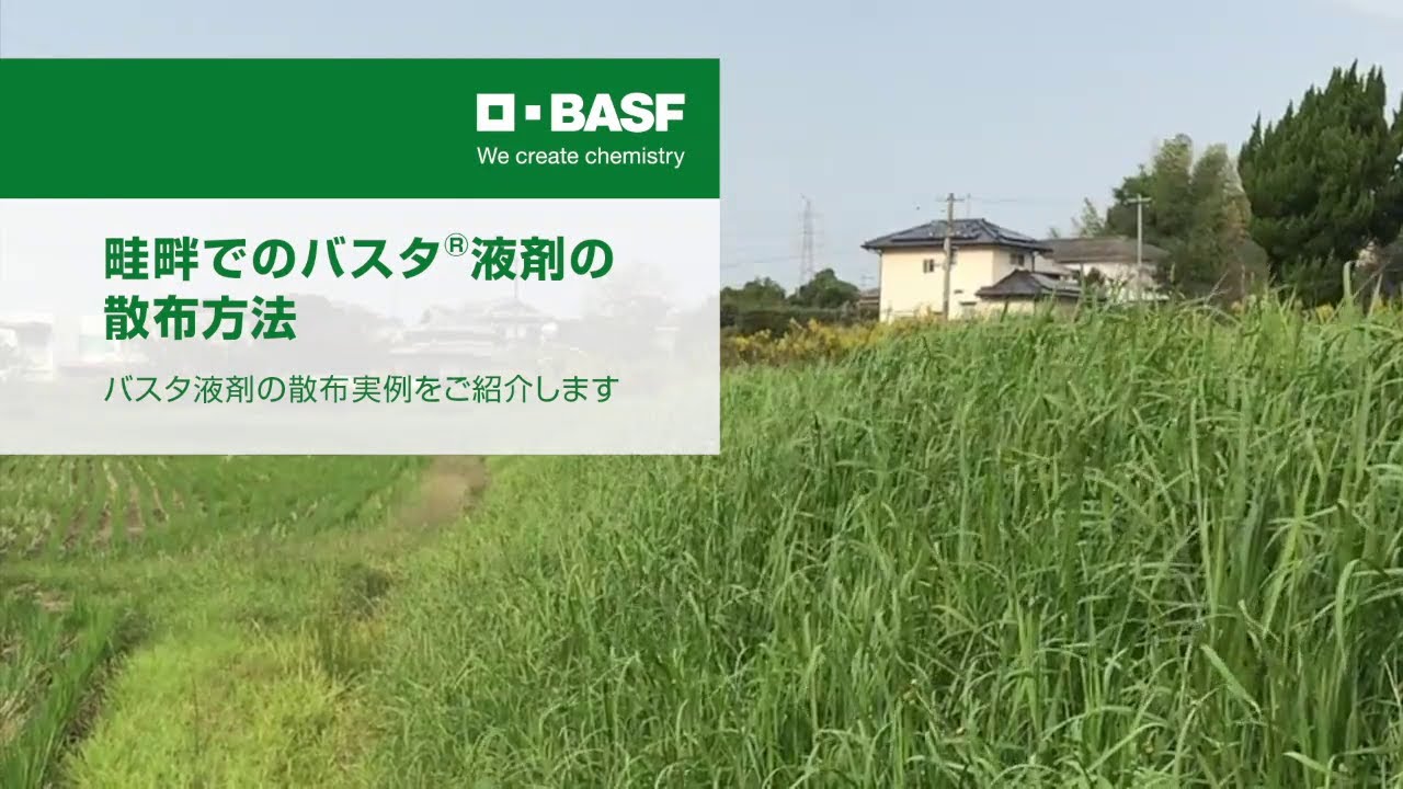 液剤 バスタ スギナも枯らす除草剤「バスタ」の特徴・効果・使い方を詳しく解説さ