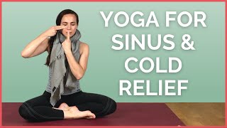 Yoga for Sinus & Cold Relief  Feel Better in 10 minutes!