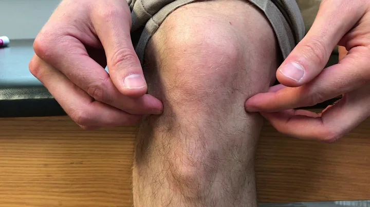 Knee Pain Types Explained | Royersford, PA | Limerick, PA - DayDayNews