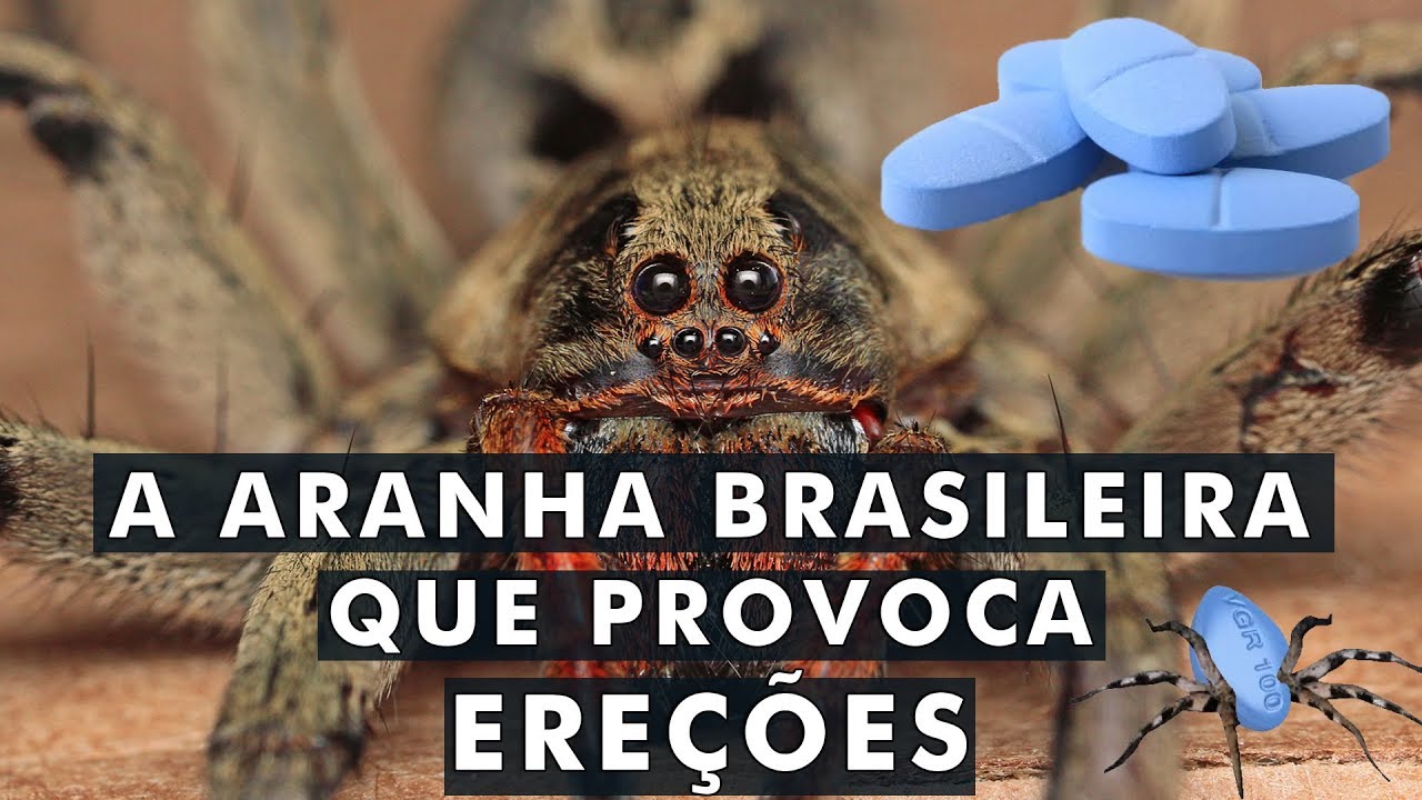 6 criaturas mais MORTAIS do Brasil