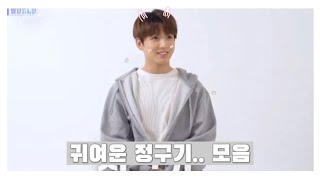 [ 방탄소년단 / 전정국 ] 귀여운 정구기 모음